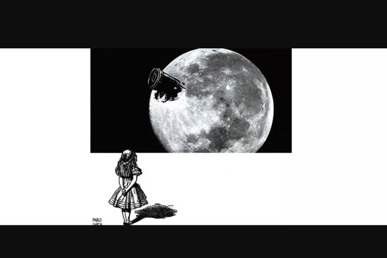 Paloma Gomez Castro en la Nueva España